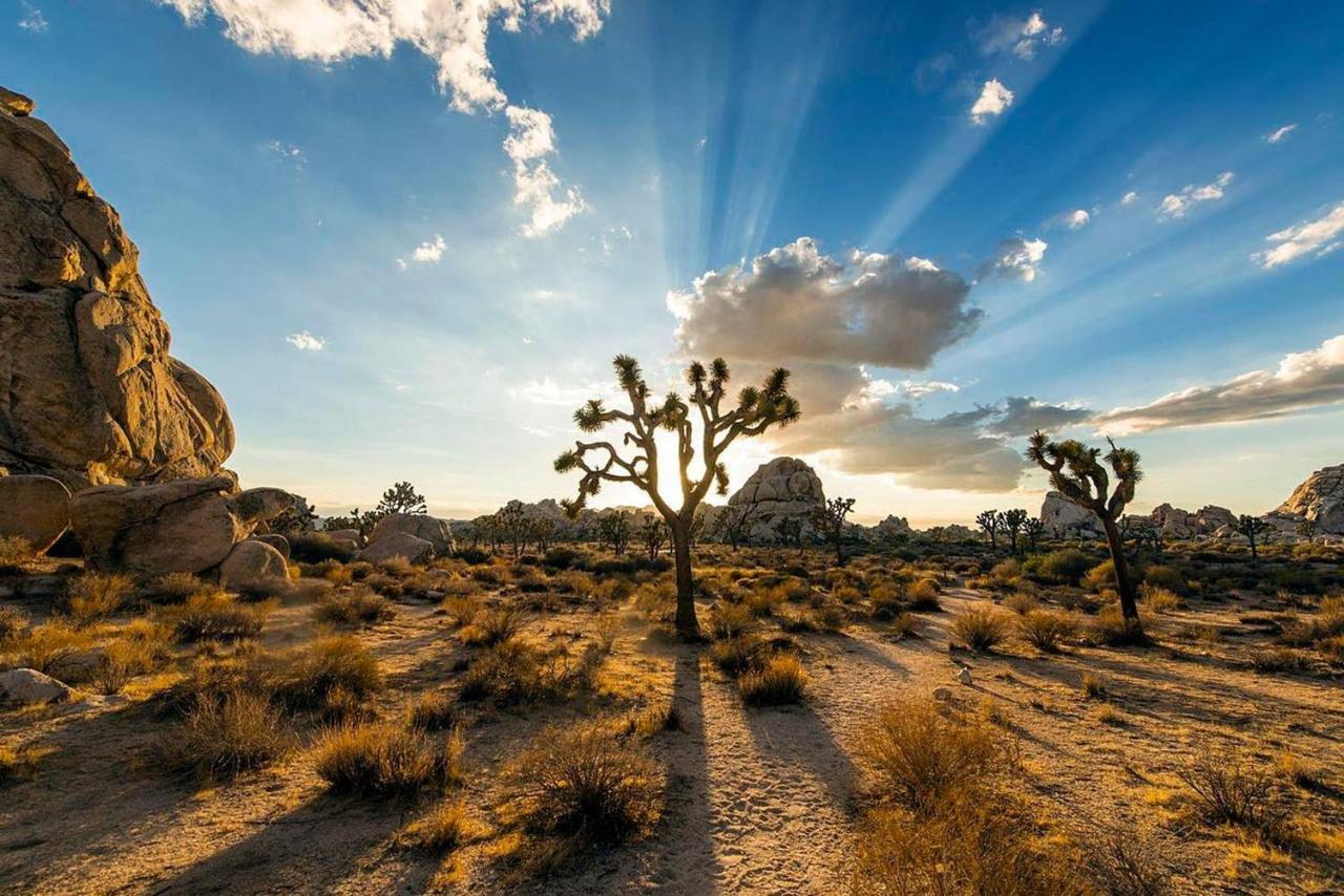 Skyhouse Villa Joshua Tree Bagian luar foto