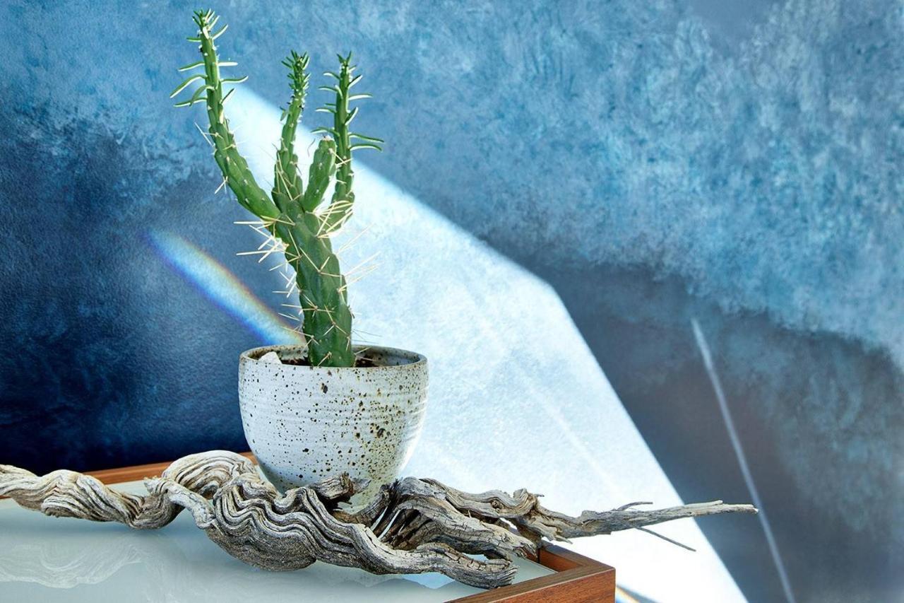 Skyhouse Villa Joshua Tree Bagian luar foto